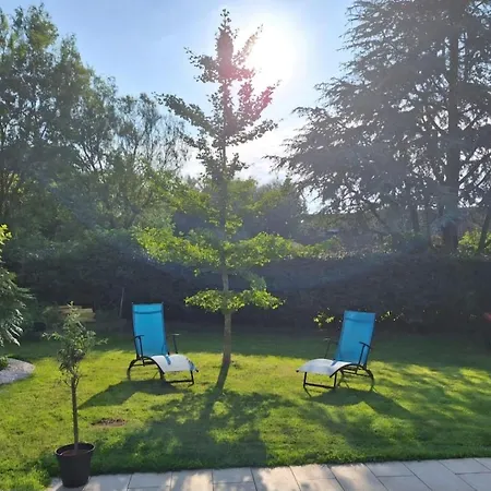 L'asena 15 Minutes From The Rety